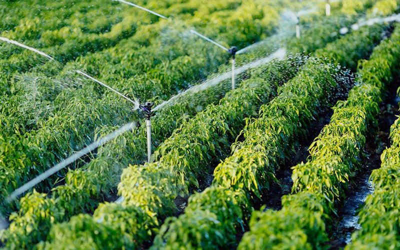 Agricultural Irrigation